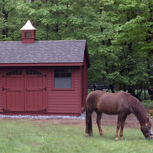 shed