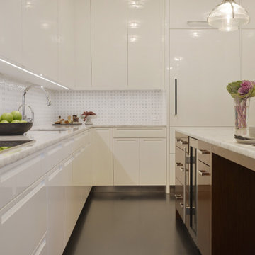 Contemporary White Kitchen with a Traditional Twist