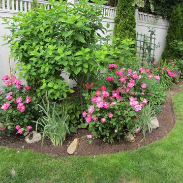 English Gardens