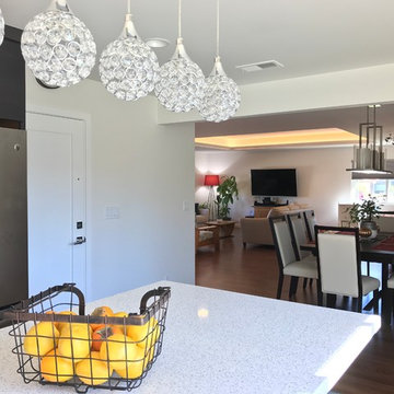Modern Family Kitchen
