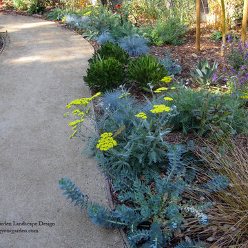 Plant Colors and Textures In Fairfax, CA With DG Pathways