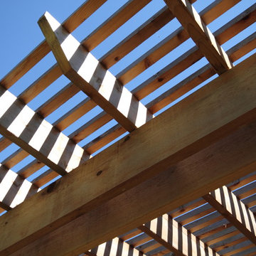 Patio Conversion and Outdoor Structure - South Houston