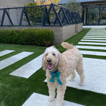 EXAMPLES OF WORK SYNTHETIC TURF