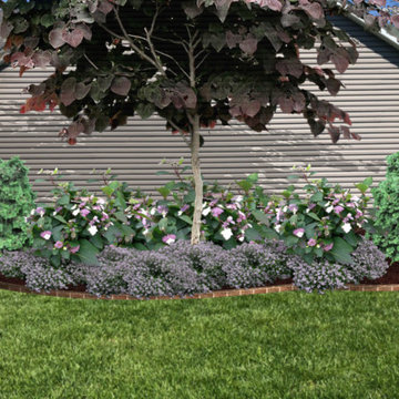Foundation Plantings