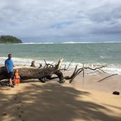 Alex Peck's photo