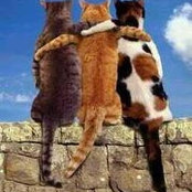 Cathy Gilley's photo