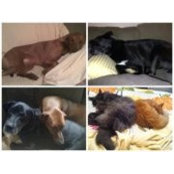 Michele Benjamin's photo