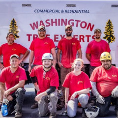 Washington Tree Experts