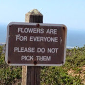 Kate Magary's photo