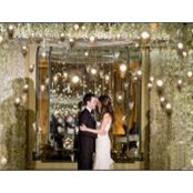 Sally Friedman's photo