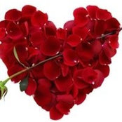Susan Peebles's photo