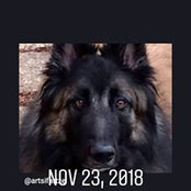 Sharon Abbott's photo