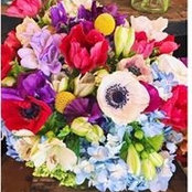 Indira Erdenebaatar's photo