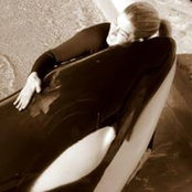 Cheryl Pappas's photo