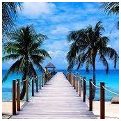 Susan Anderson's photo