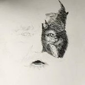 Aman Douce's photo
