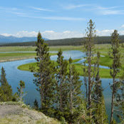 Marty Holguin's photo