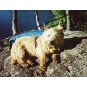 Foto de Snickers Wilson

