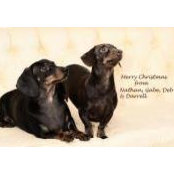 Deborah Johnson's photo