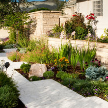 Planting Borders