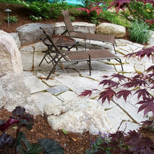 Our Wooded Yard:  expansion of useable area