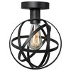 LNC Wire Cage Ceiling Lights, 1-Light Globe Ceiling Lamp, Black Finish