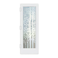 Glass Doors