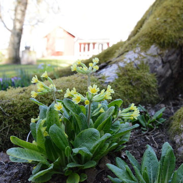 Den naturliga trädgården