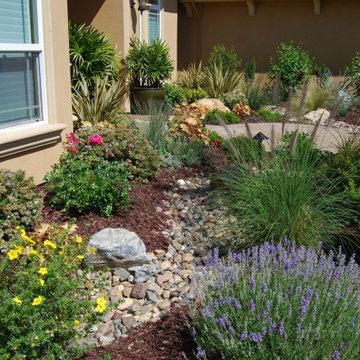 Mediterranean Style Front Yard in Roseville