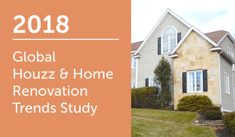 2018 Global Houzz & Home: Renovation Trends