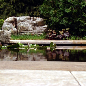 Formal Water Garden