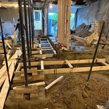 IN PROGRESS - EASTERLIN‘S RESIDENCE - BASEMENT REMODEL