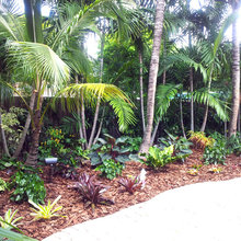 tropical paradise