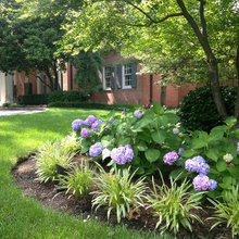 Landscaping Ideas