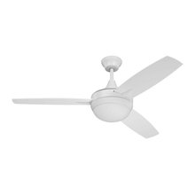Master Bedroom Ceiling Fan