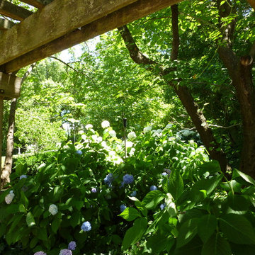 Krumlauff-Weidemann Woodland Garden