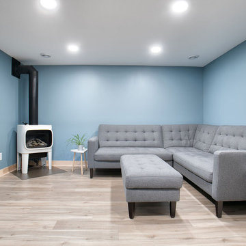 Project 3680-1 Minneapolis Scandinavia Modern Whole House Renovation