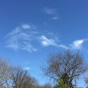 Abby Mac's photo