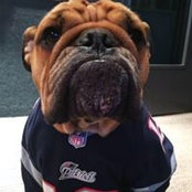 Maryann Carter's photo