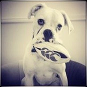 Alan Carbery's photo
