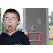 Shanon O'Connor's photo