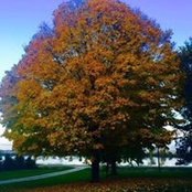Nicole Franklin's photo