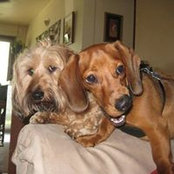 Sarah Mikula's photo