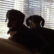 Mary Ellen Hatch's photo