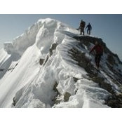 Dan Parker's photo