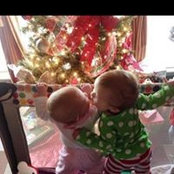 Terie Johnson's photo