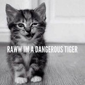 Lindy Fenton's photo