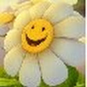 Christina Burke's photo