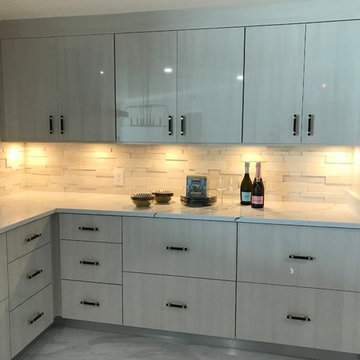 Contempo KItchen Remodel