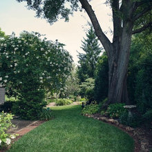 Landscape Ideas